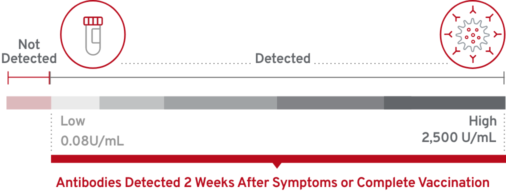 Measuring Results